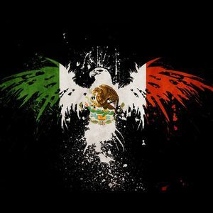 Meet your Posher, Jesse